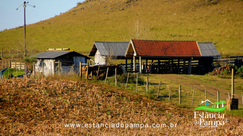 DOS EÓLICOS VIRA P FAZENDA_Moment.00_01_27_01.Quadro341_63d916dd8f501f578a63f147b9ee70d55ff2a2bb.jpg